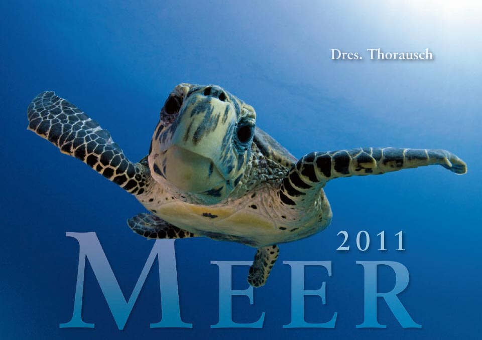 2011 Title