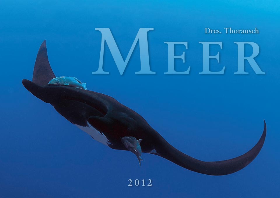 2012 Title