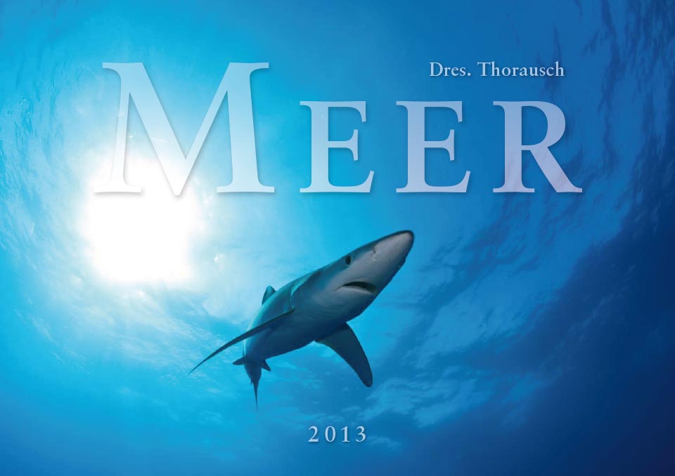 2013 Title