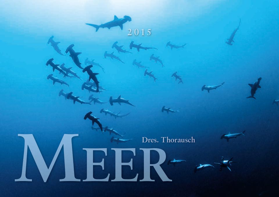 2015 Title