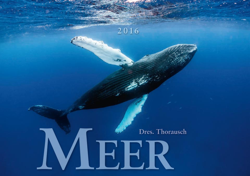 2016 Title