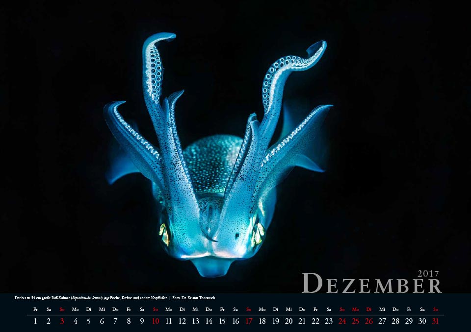 2017 12