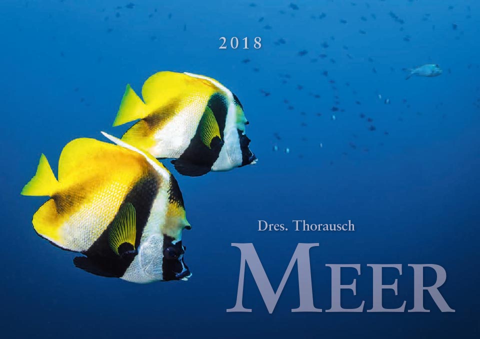 2018 Title