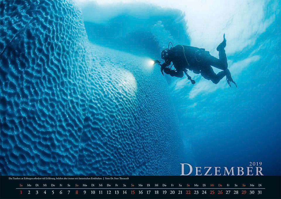 2019 Dezember