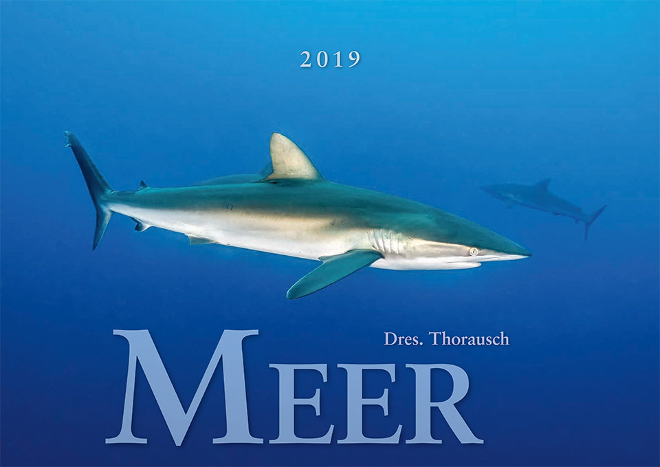2019 Titel Klein
