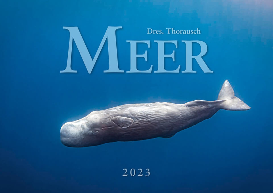 2023 Titel Klein